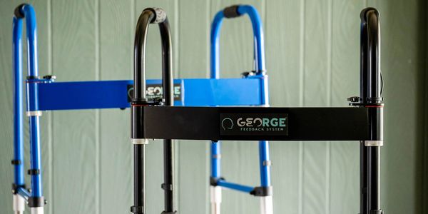 Two walkers with a feedback system, one black and one blue.