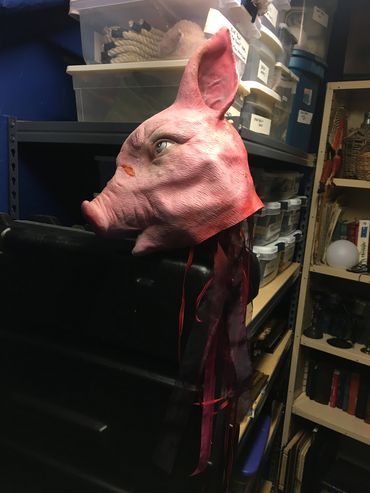 Severed pig head 