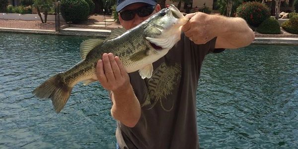 Fly fishing for Bass