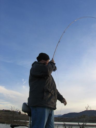 Lake Pleasant Striper fishing 
