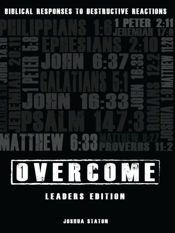 Overcoming Addiction, Christian Recovery, Bible study, Small group topics