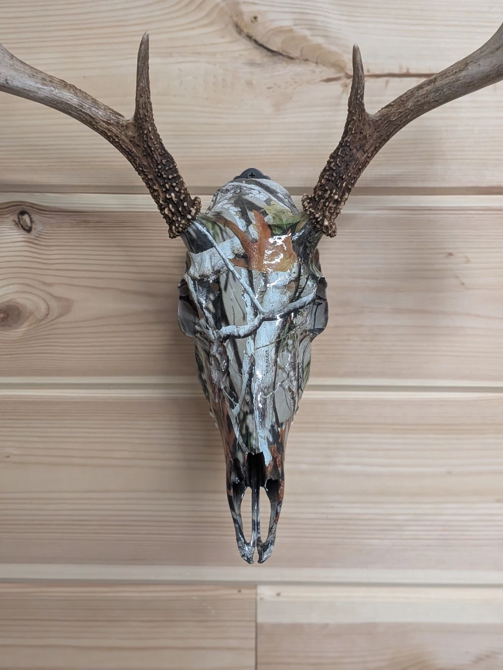 Deer skull with antlers and camouflage paint mounted on wood.