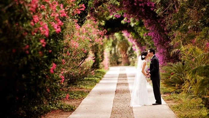 The entrance is your first glimpse into the Jones Estate. Be prepared to be enchanted.