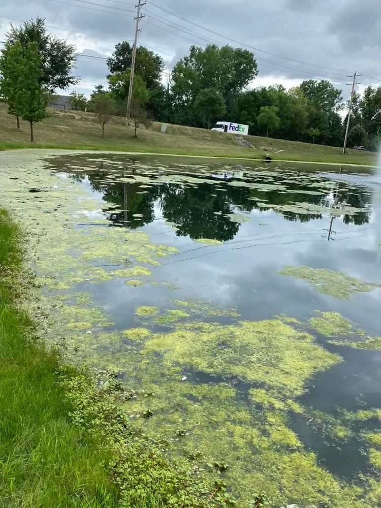 Surface water contamination
