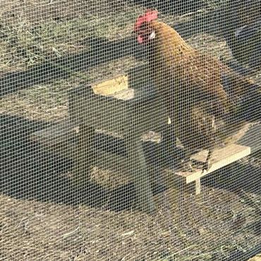 Pretty baby enjoying her new table