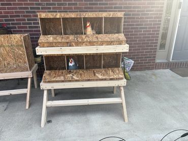 Double rollaway nesting box