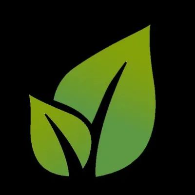 New Leaf Genealogy logo