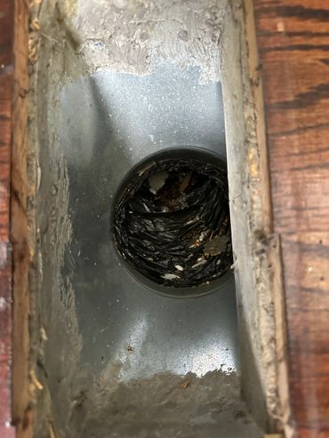 A metal pipe embedded in wood, filled with a black plastic bag and debris.