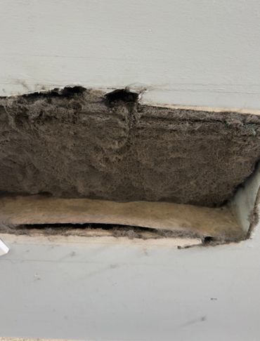 Close-up of a dusty, lint-filled air vent opening on a wall.