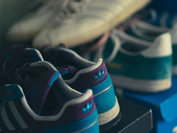 Close-up of blue and purple Adidas sneakers.