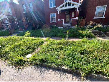 Basic Residential Service with Overgrowth: BEFORE