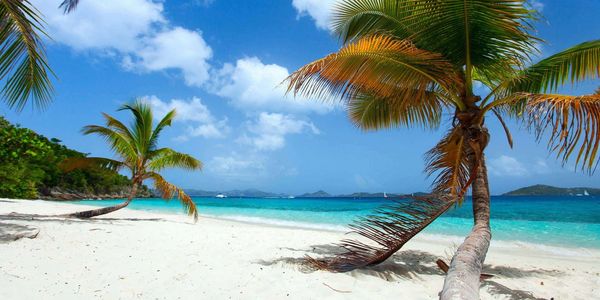 United States British Virgin Islands