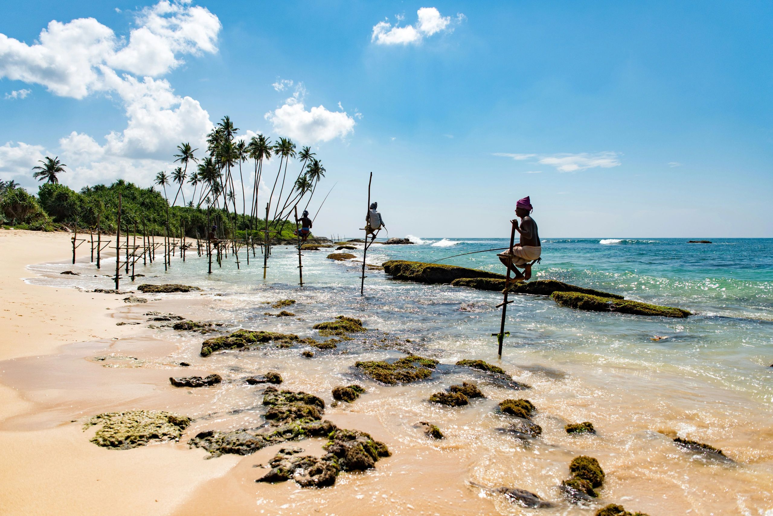 Volunteer in Sri Lanka while making a meaningful impact through volunteer programs in Sri Lanka.