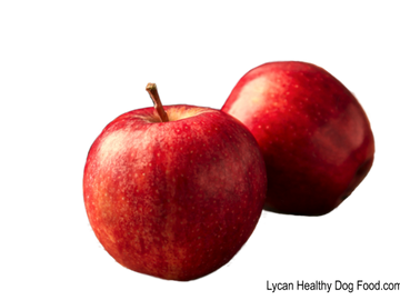Lycandogfood.com Apples Best dog food Natural dog food & treats Species Appropriate Diet