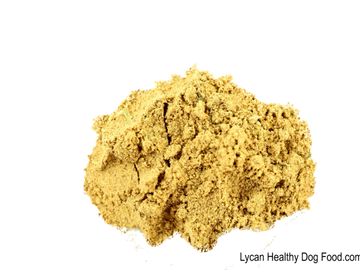 Lycandogfood.com Yeast Best dog food Natural dog food & treats Species Appropriate Diet