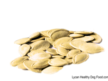 Lycandogfood.com Pumpkin Seeds Best dog food Natural dog food & treats Species Appropriate Diet
