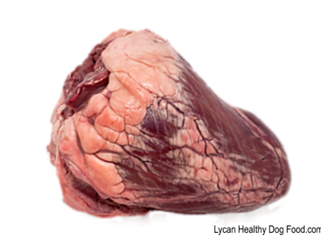 Lycandogfood.com Beef Heart Best dog food Natural dog food & treats Species Appropriate Diet