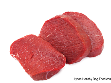 Lycandogfood.com Pure Beef Best dog food Natural dog food & treats Species Appropriate Diet