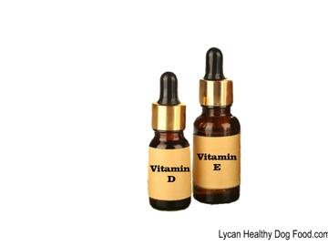 Lycandogfood.com Vitamin D and E Best dog food Natural dog food & treats Species Appropriate Diet