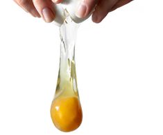 Lycandogfood.com Egg Breaking Best dog food Natural dog food & treats Species Appropriate Diet