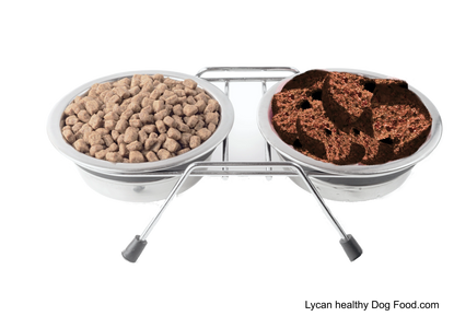 Lycandogfood.com Kibble to Cooked Best dog food Natural dog food & treats Species Appropriate Diet