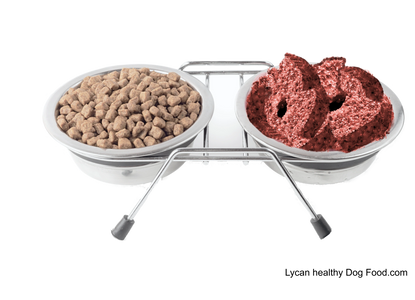 Lycandogfood.com Kibble to Raw Best dog food Natural dog food & treats Species Appropriate Diet