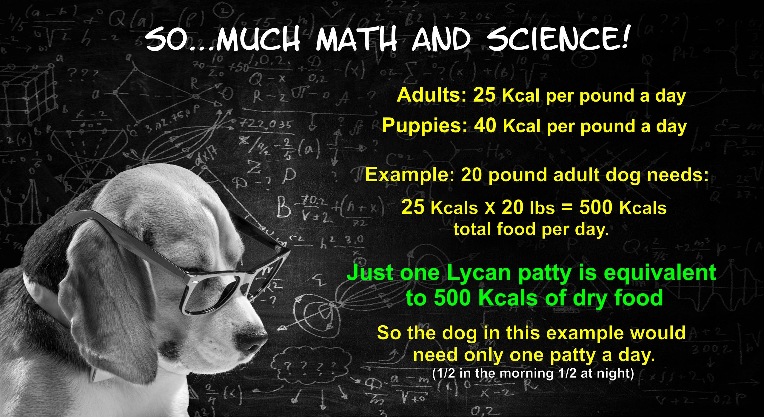 Lycan Dog food, Fresh natural dog food, complete and balanced nutrition, best cancer fight
