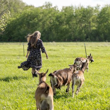 Krazy Cowgirlz Ranch.  Goat Ranch. Goat Milk Skincare