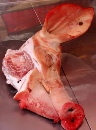 2005 Europe Spain Catania