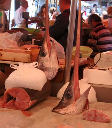 2005 Europe Spain Catania