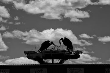 black and white photography for sale, southwest, Santa Fe, New Mexico, Gerald Hill Photography, BW  