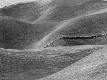 black and white photography,  Gerald Hill photography, Palouse Washington, Rolling hills, landscape