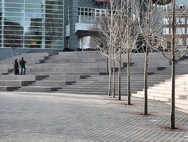 University of Cincinnati and UC Library
Progressive Stone Specialists