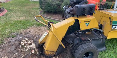 Expert stump grinding service removing a tree stump efficiently to clear and restore your landscape.
