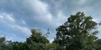 Providing 24/7 emergency tree services in Tampa, FL hazardous trees after storms and severe weather