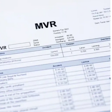 Close-up of an MVR document showing vehicle and license details.