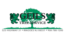 Geils Tree Service