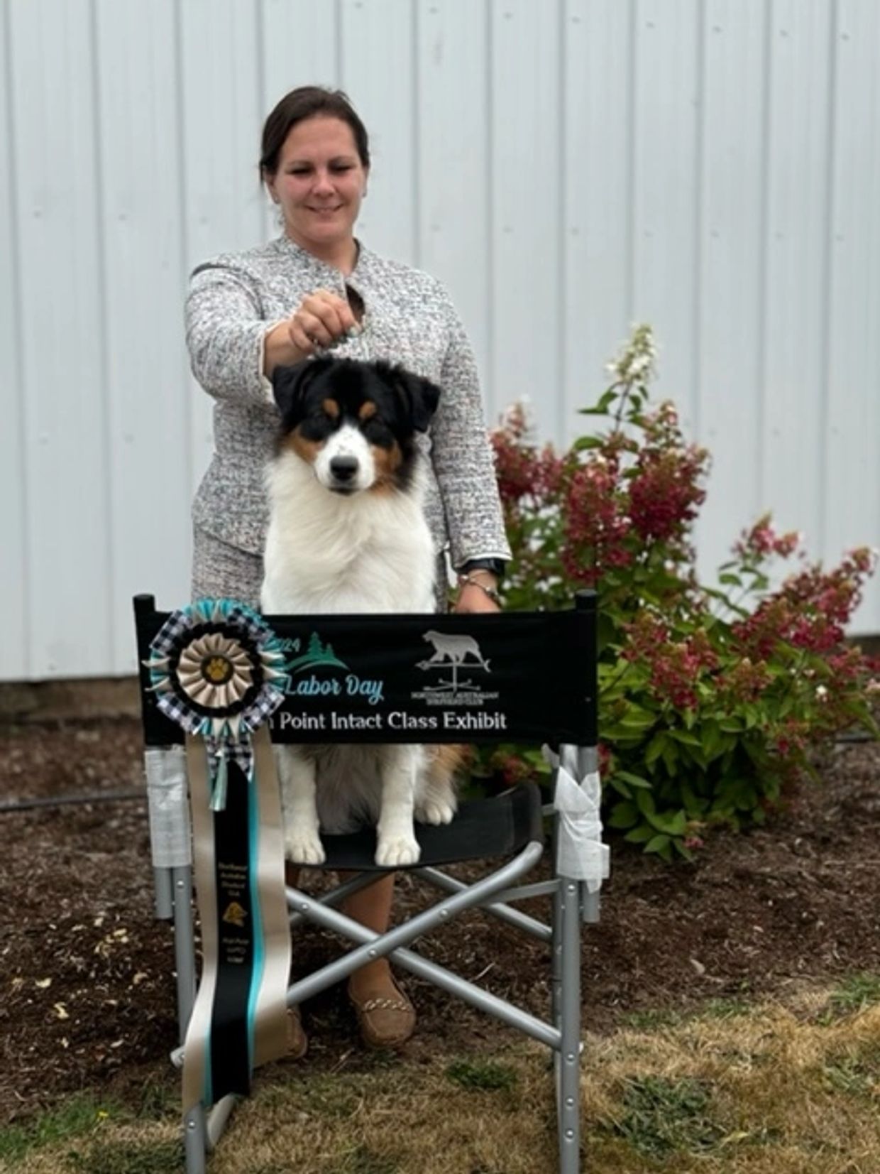 Black tri Aussie high point chair