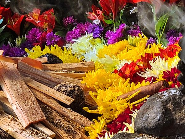 History and Medicine of Cacao