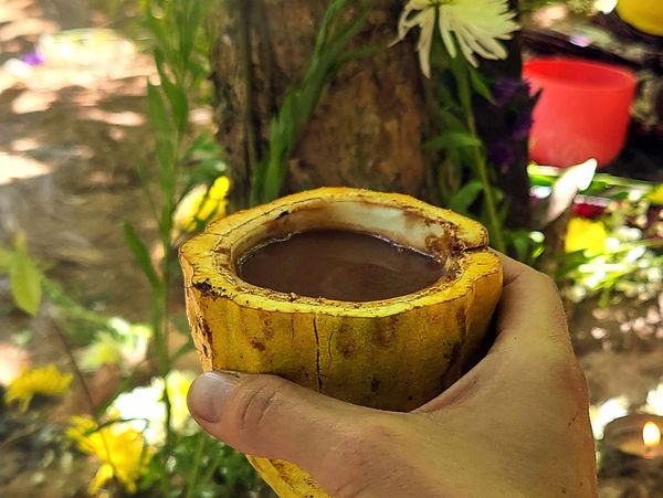 From Tree to Cup to Circle