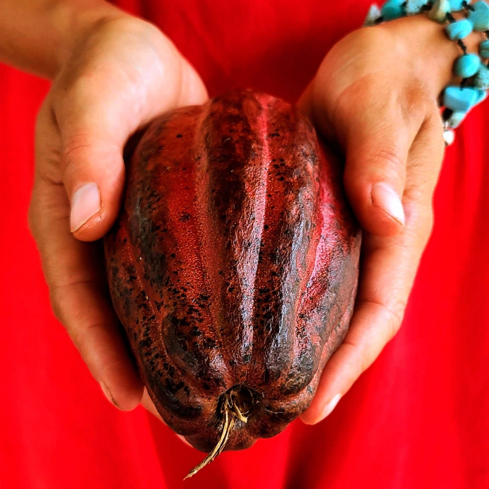 a close up of a person holding a fruit in their hands