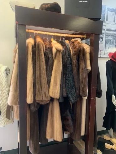 Ladybug Consignment & Boutique