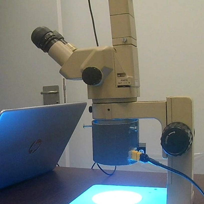 Lupa de 5000 aumentos