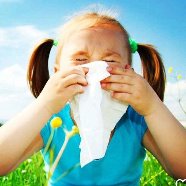 HYPNOSIS HYPNOTHERAPY FOR HAYFEVER ALLERGIES STOP HAYFEVER GROUP HYPNOSIS SOUTH SHIELDS