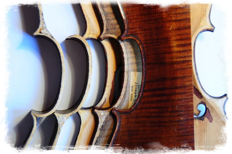 Violin ribs and front.