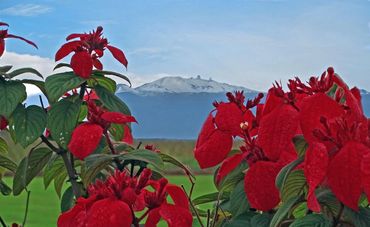 Mauna Kea Hilo Hawaii