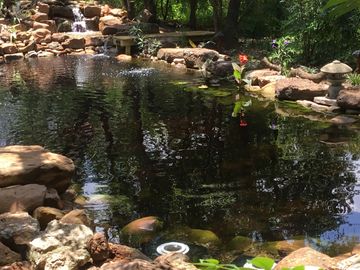 Natural swimming pond installed bee caves texas