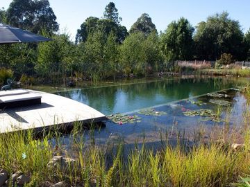 Natural swimming pond 
