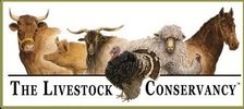 The Livestock Conservancy Member, Heritage Breeder