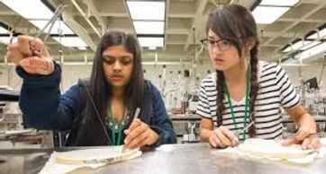 Undergraduate students learning to suture